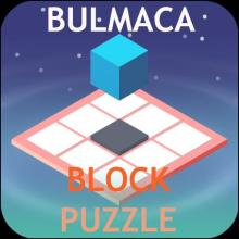 Blok Bulmaca - Block Puzzle截图1