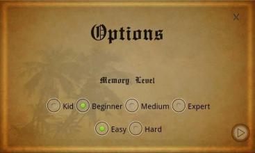 Memory Champ截图5