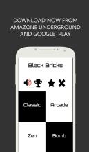 Black Bricks截图4