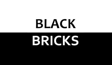 Black Bricks截图1