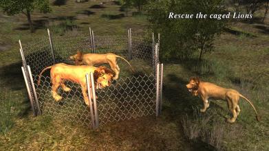 Lion Attack 3D Simulator截图4