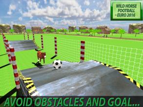 Wild Horse Football Simulator截图2
