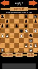 Chess Puzzles截图1