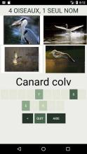 Quiz consacré aux oiseaux截图4