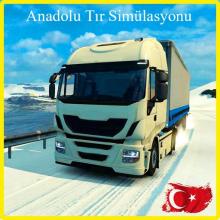 Anadolu Tır Simülasyonu截图1