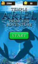 Temple Ariel: Princess Adventure截图4