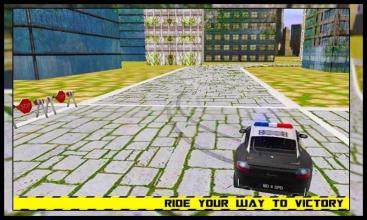 furious police car simulator截图4