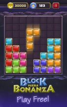 Block Puzzle Bonanza截图1