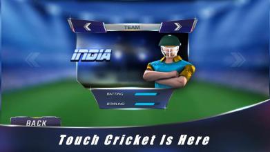 Touch Cricket T20 League 2015截图2