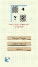 Bingo Single and Multiplayer截图2