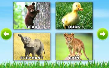 Learn Animals - Kids Puzzle截图4