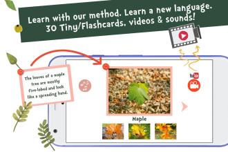 Sami Tiny FlashCards 森林, forest adventures截图2