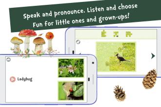 Sami Tiny FlashCards 森林, forest adventures截图5