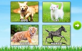 Learn Animals - Kids Puzzle截图1