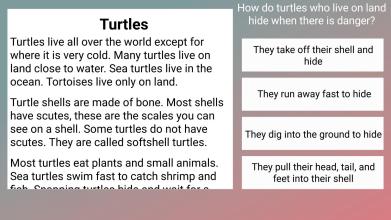 3rd Grade Reading Challenge截图3