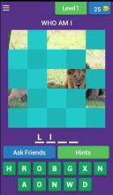 Animal Am I?截图1