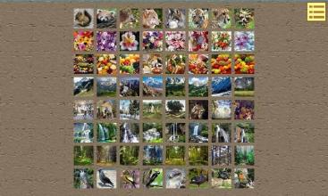 Jigsaw Puzzles 3截图4