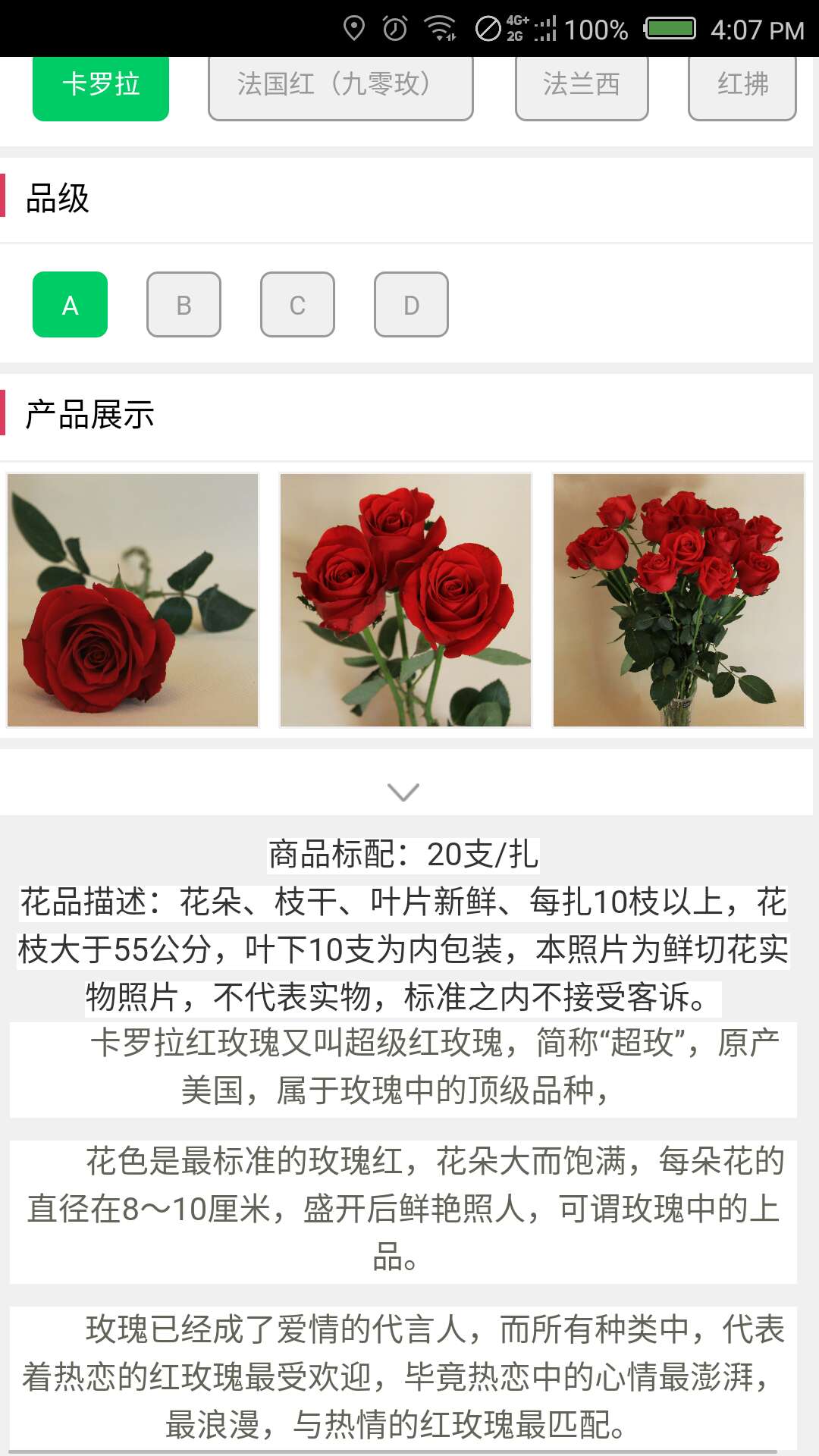 中国斗南花卉截图5