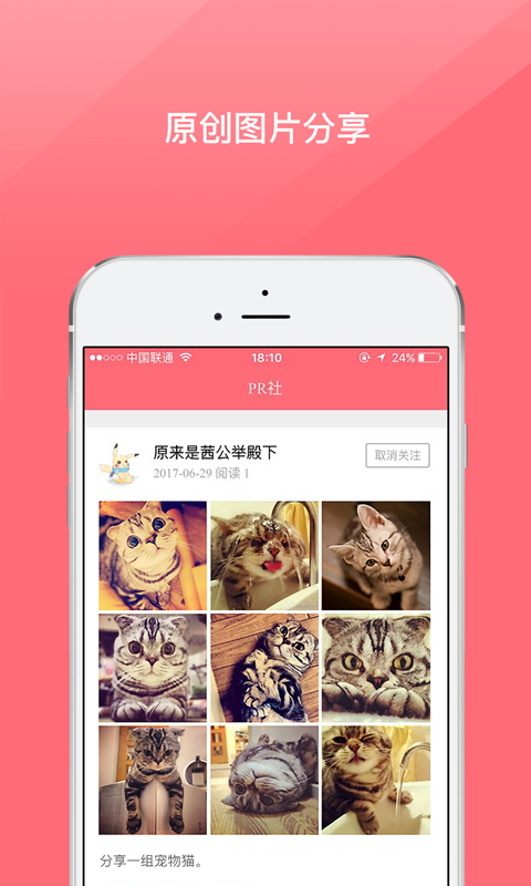 PP社截图4