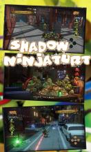 Shadow Ninja & Turtles 2截图2