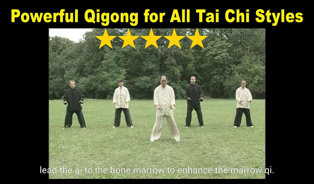 Tai Chi Ball Qigong (Dr....截图3