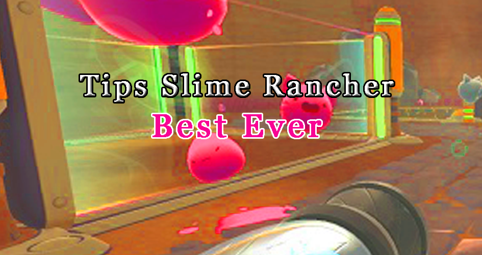 Pro Slime Rancher Best Tips截图3