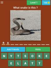 Snake Quiz截图4