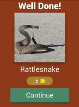 Snake Quiz截图3