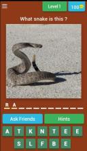 Snake Quiz截图1