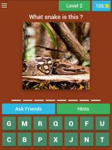 Snake Quiz截图2