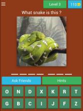 Snake Quiz截图5