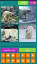 4 Pics 1 Animal - Guess the Animal截图4