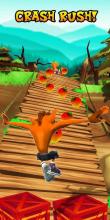 *Bandicoot Wild Jungle Rush截图3