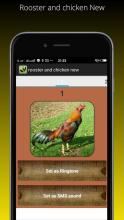 Rooster and chicken New截图2