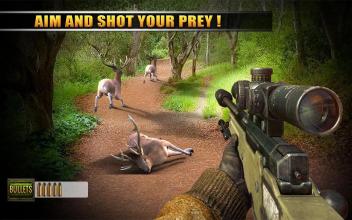 Animal Sniper Shooting Game - Jungle Hunter 2018截图3