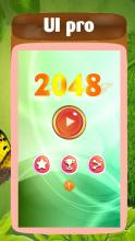 Game 2048 New截图1