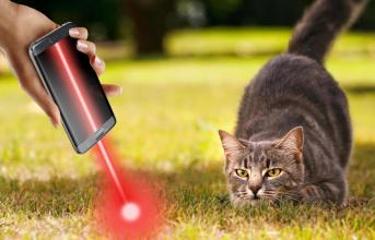 Laser for cats截图1