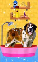 Saint Bernard Pet Care - Dog Games for Kids截图2