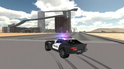 Police Car Driving Sim截图1