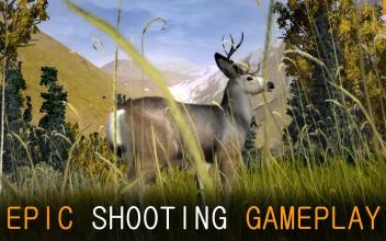 Free Fun Deer Hunting Time截图2