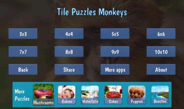 Tile Puzzles · Monkeys截图1