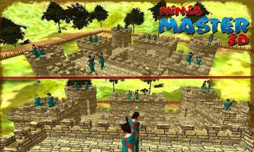 Ninja Master 3D截图2