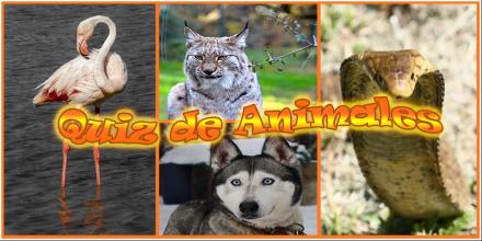 Animales: Cuestionario de animales en español截图1