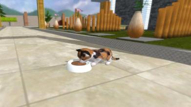 Kitty Simulator 3D截图4