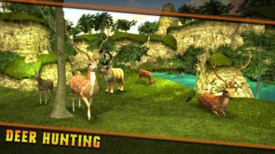 Top Deer Hunting Games截图1