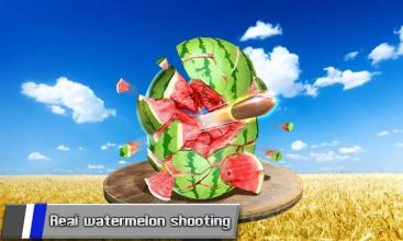 Watermelon Fruit 3D Shoot截图1