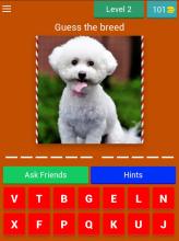 Guess the Dog截图4