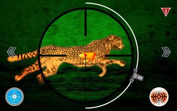 Cheetah Hunter 2016 - 猎豹猎人截图1