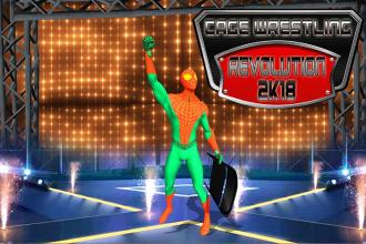 Cage Wrestling Revolution 2k18截图1