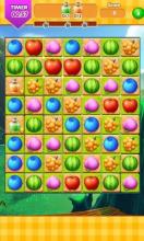 Gems Fruit 2018截图5